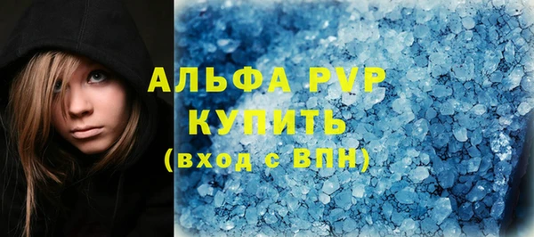 сатива Аркадак