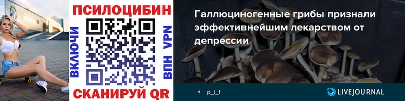 Галлюциногенные грибы Cubensis  Павловский Посад 